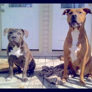 UPDATE Also, Tres Sununga & Pedro 💕